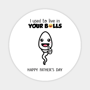 Boy Happy Father's Day I Used To Live In Your Balls Magnet